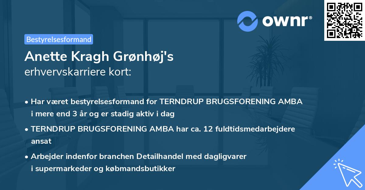 Anette Kragh Grønhøj's erhvervskarriere kort