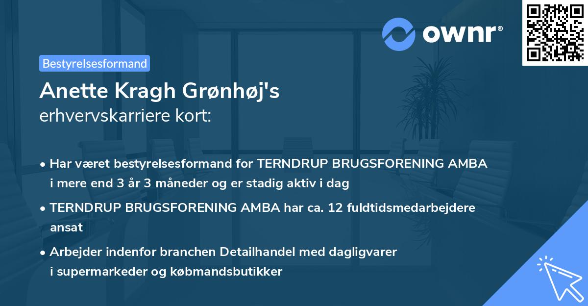 Anette Kragh Grønhøj's erhvervskarriere kort