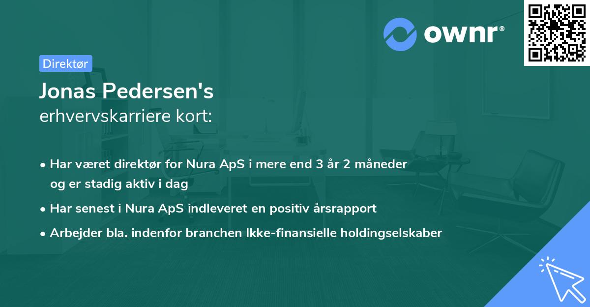 Jonas Pedersen's erhvervskarriere kort