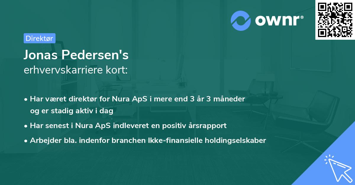 Jonas Pedersen's erhvervskarriere kort