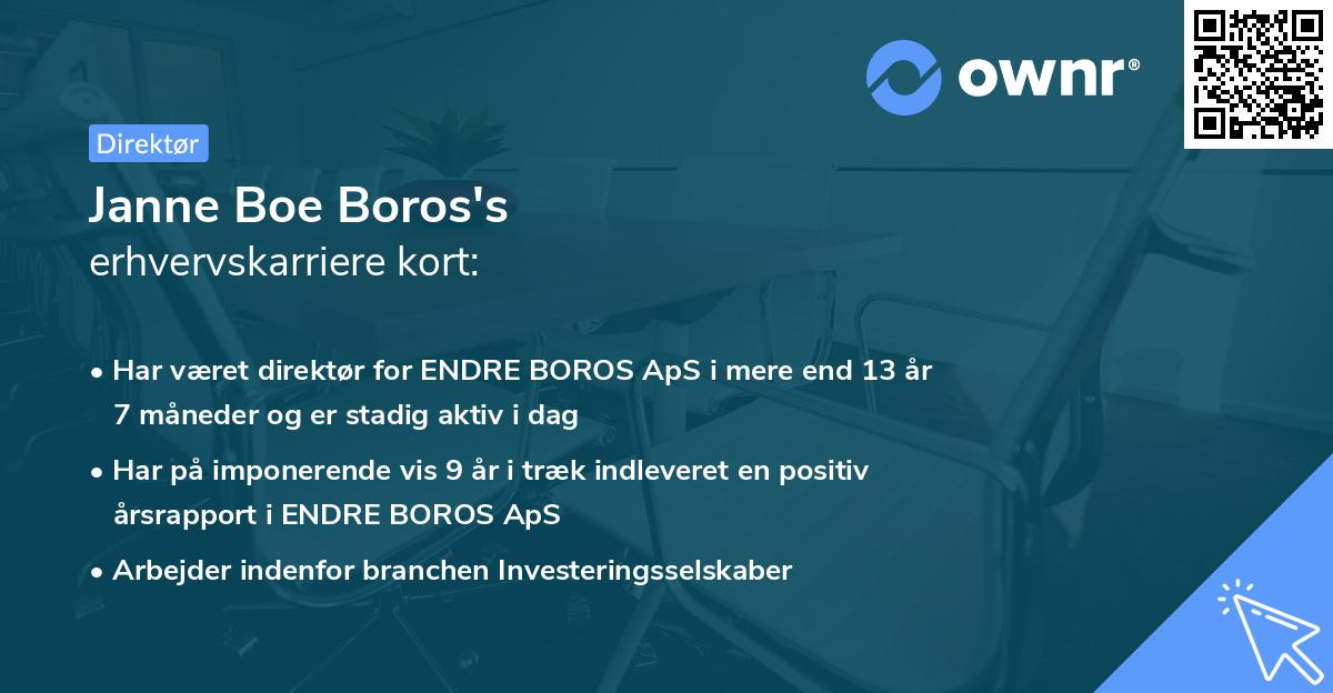 Janne Boe Boros's erhvervskarriere kort