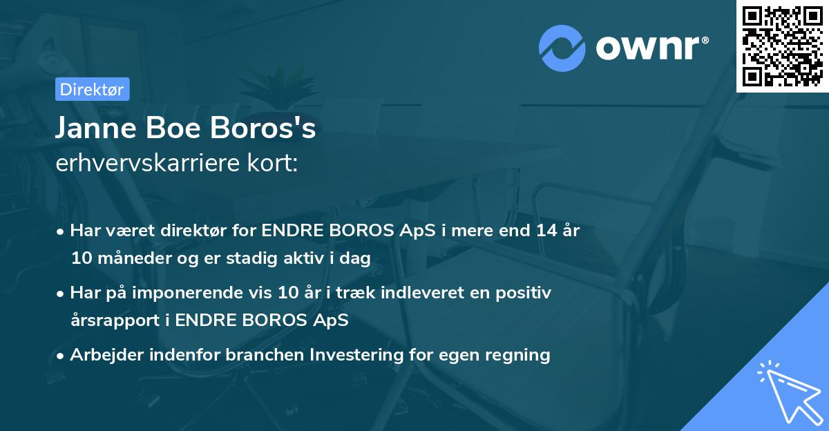 Janne Boe Boros's erhvervskarriere kort