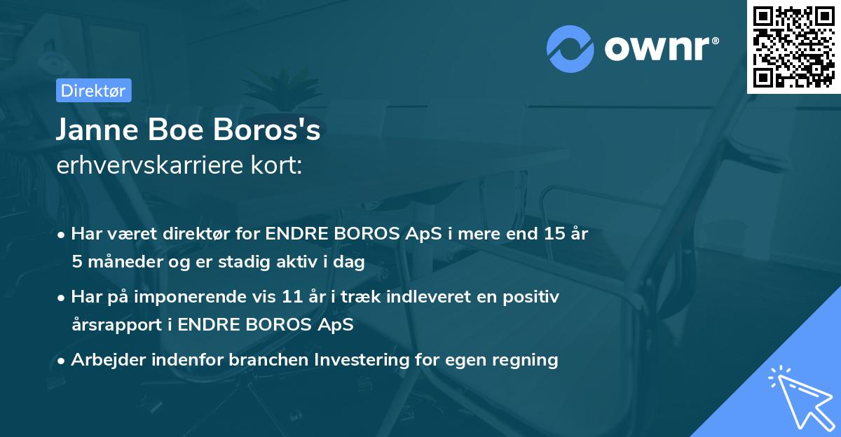 Janne Boe Boros's erhvervskarriere kort
