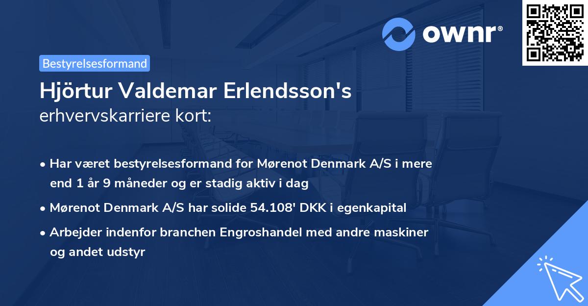 Hjörtur Valdemar Erlendsson's erhvervskarriere kort