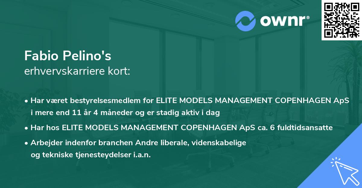 Fabio Pelino's erhvervskarriere kort