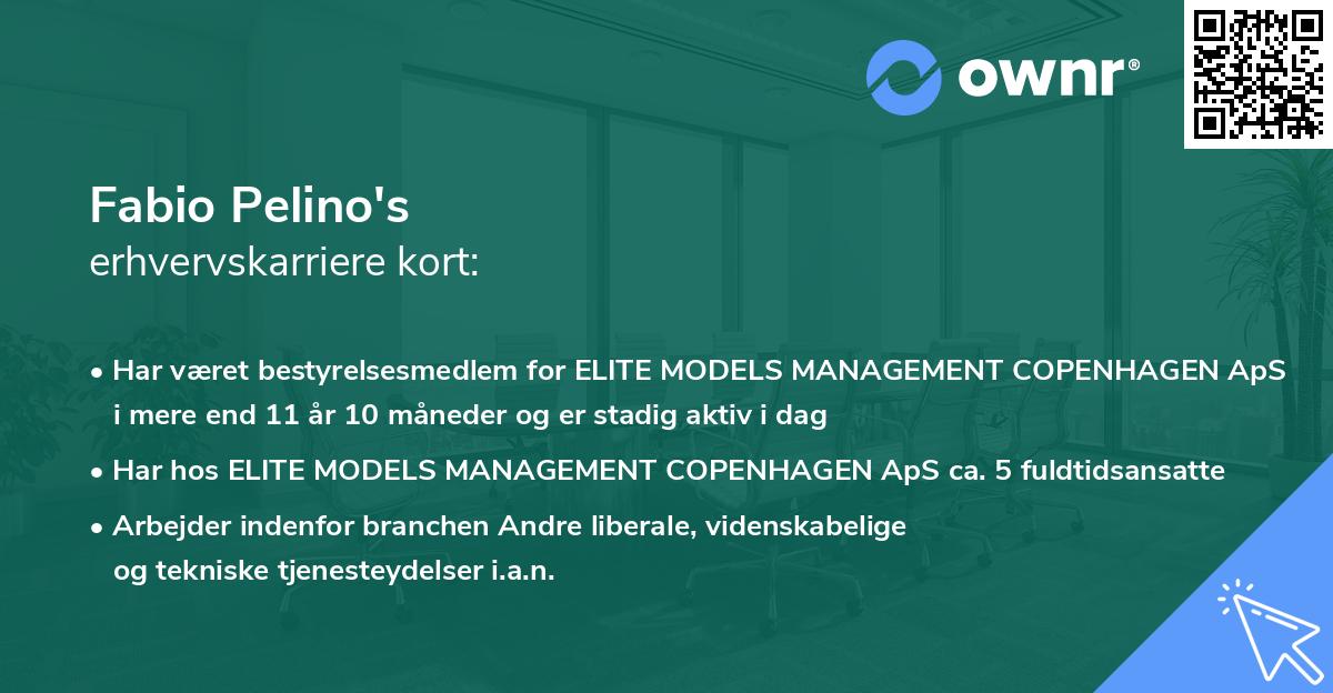Fabio Pelino's erhvervskarriere kort