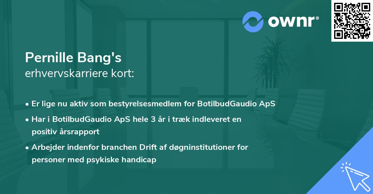 Pernille Bang's erhvervskarriere kort