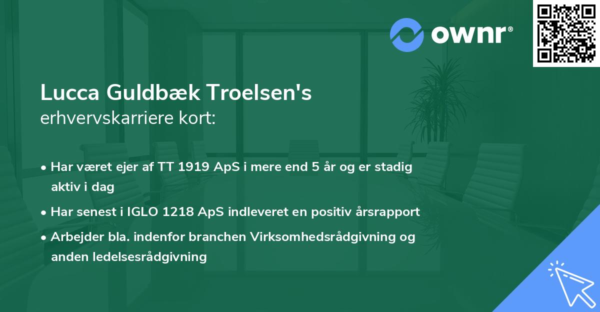 Lucca Guldbæk Troelsen's erhvervskarriere kort
