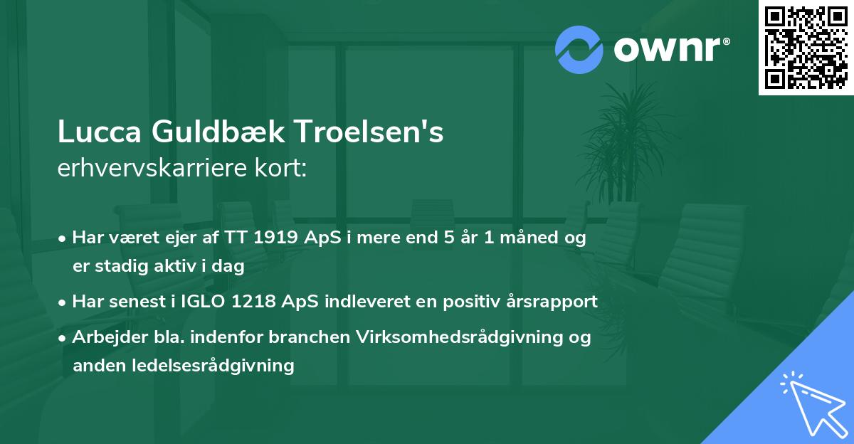 Lucca Guldbæk Troelsen's erhvervskarriere kort