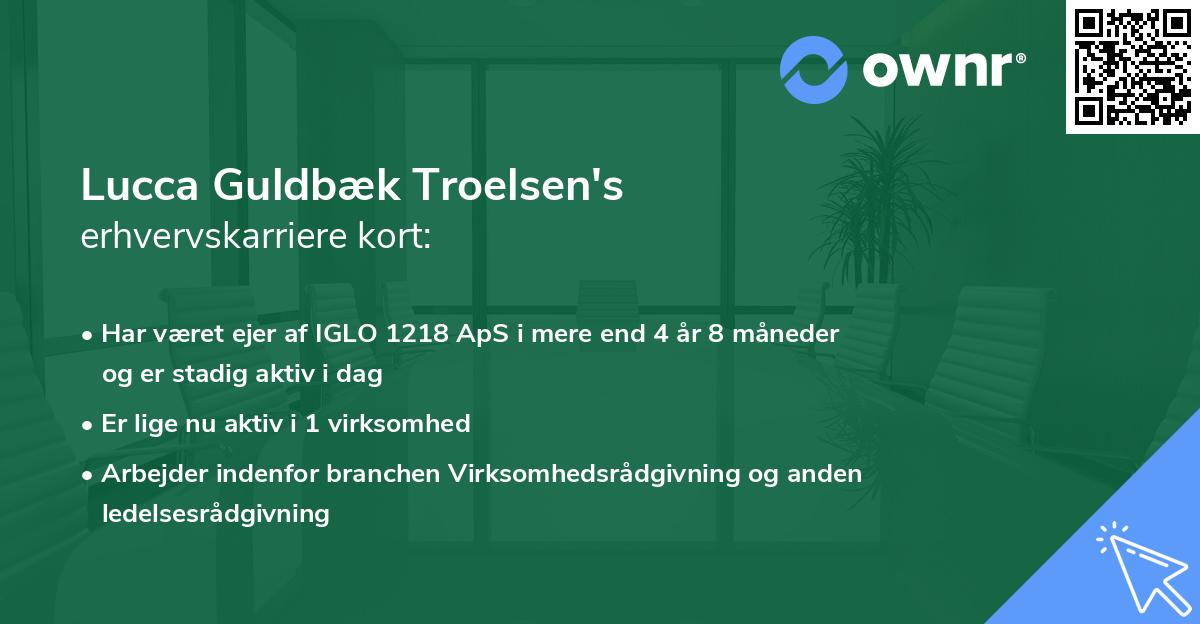 Lucca Guldbæk Troelsen's erhvervskarriere kort