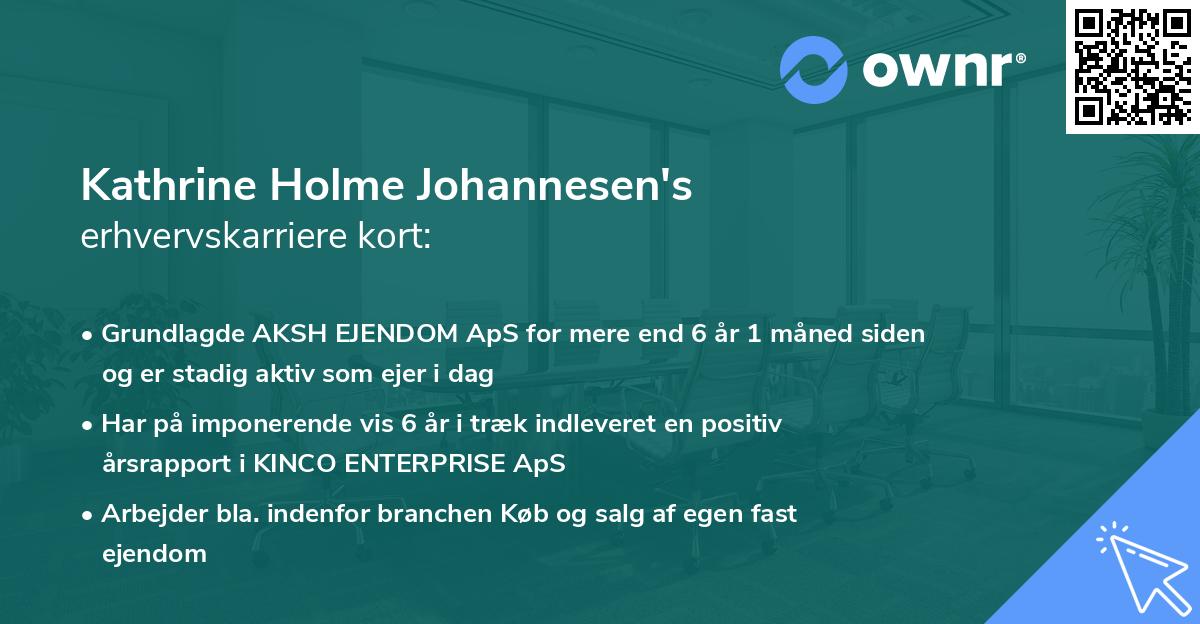 Kathrine Holme Johannesen's erhvervskarriere kort