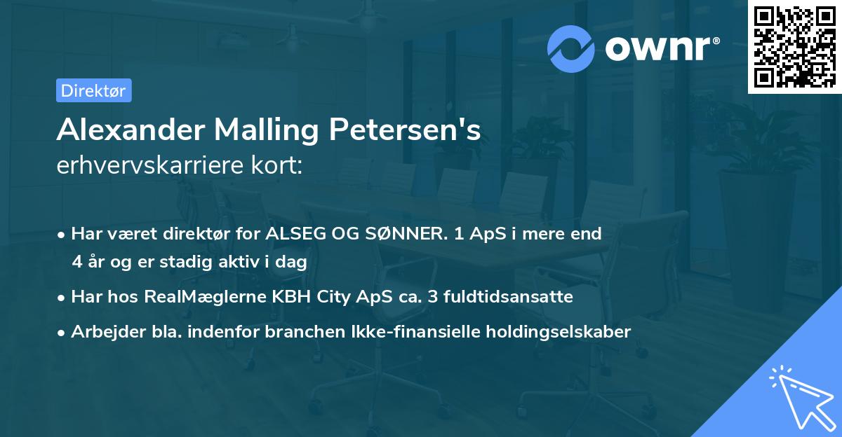 Alexander Malling Petersen's erhvervskarriere kort