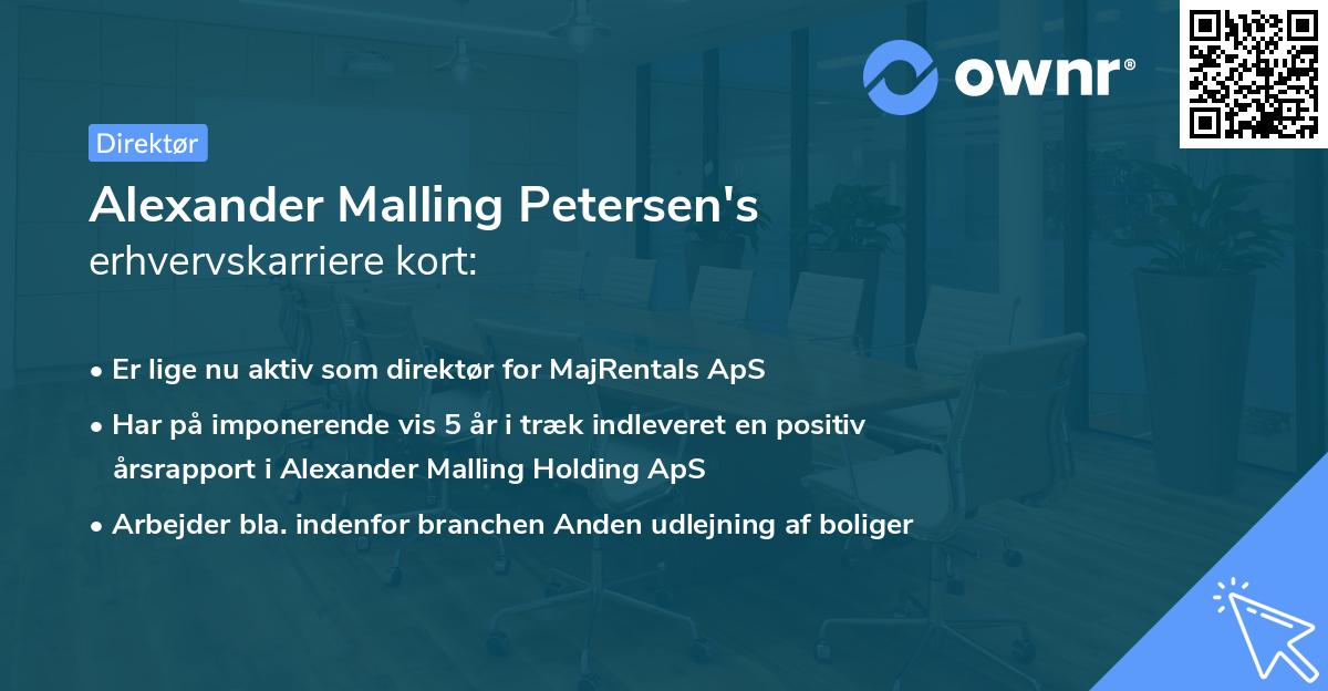 Alexander Malling Petersen's erhvervskarriere kort