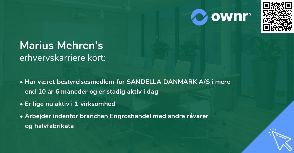Marius Mehren's erhvervskarriere kort