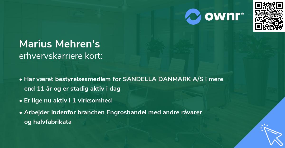 Marius Mehren's erhvervskarriere kort