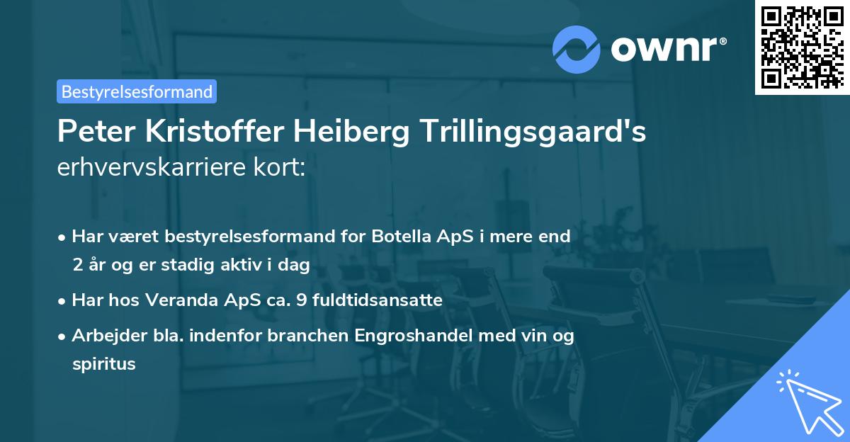 Peter Kristoffer Heiberg Trillingsgaard's erhvervskarriere kort