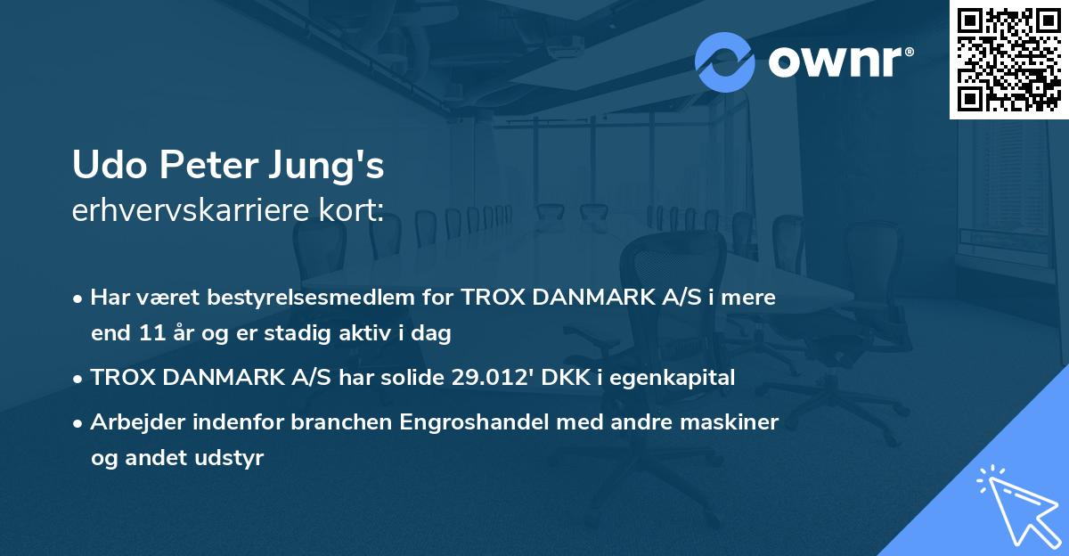 Udo Peter Jung's erhvervskarriere kort