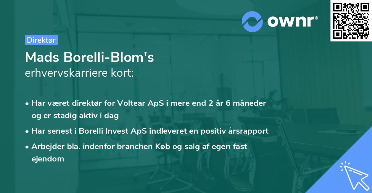 Mads Borelli-Blom's erhvervskarriere kort