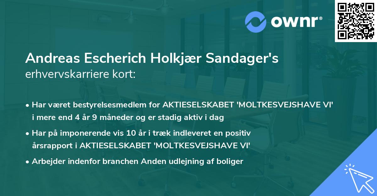 Andreas Escherich Holkjær Sandager's erhvervskarriere kort
