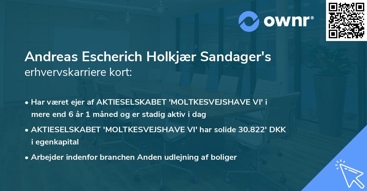Andreas Escherich Holkjær Sandager's erhvervskarriere kort