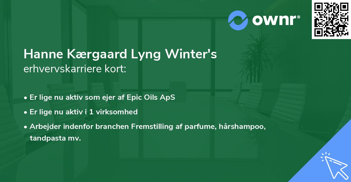 Hanne Kærgaard Lyng Winter's erhvervskarriere kort