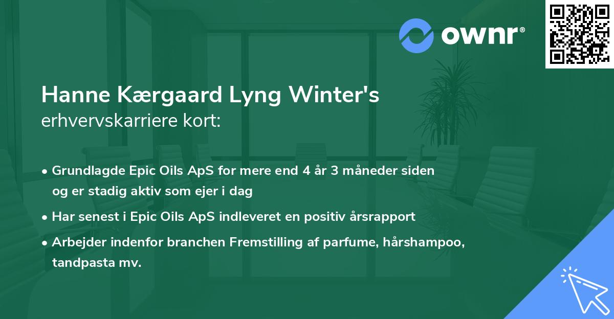 Hanne Kærgaard Lyng Winter's erhvervskarriere kort