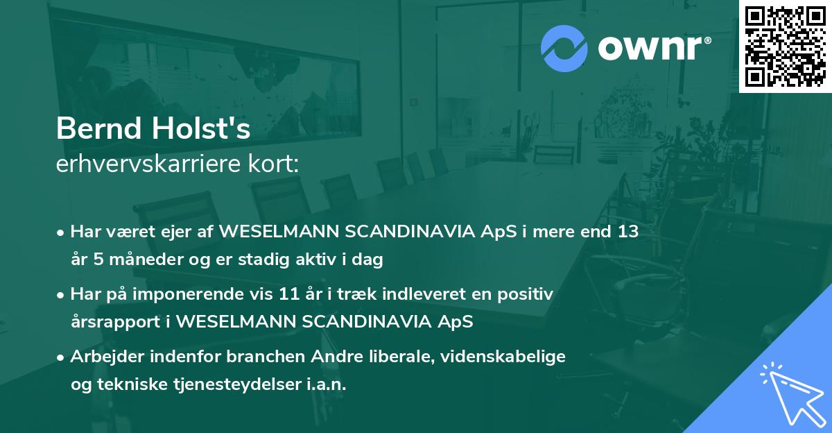 Bernd Holst's erhvervskarriere kort