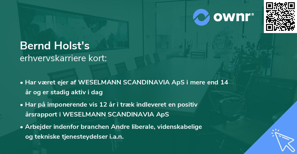 Bernd Holst's erhvervskarriere kort