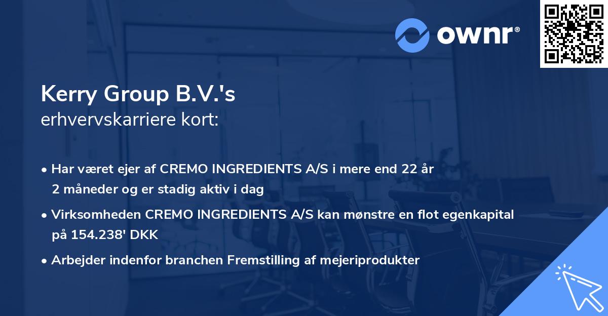 Kerry Group B.V.'s erhvervskarriere kort