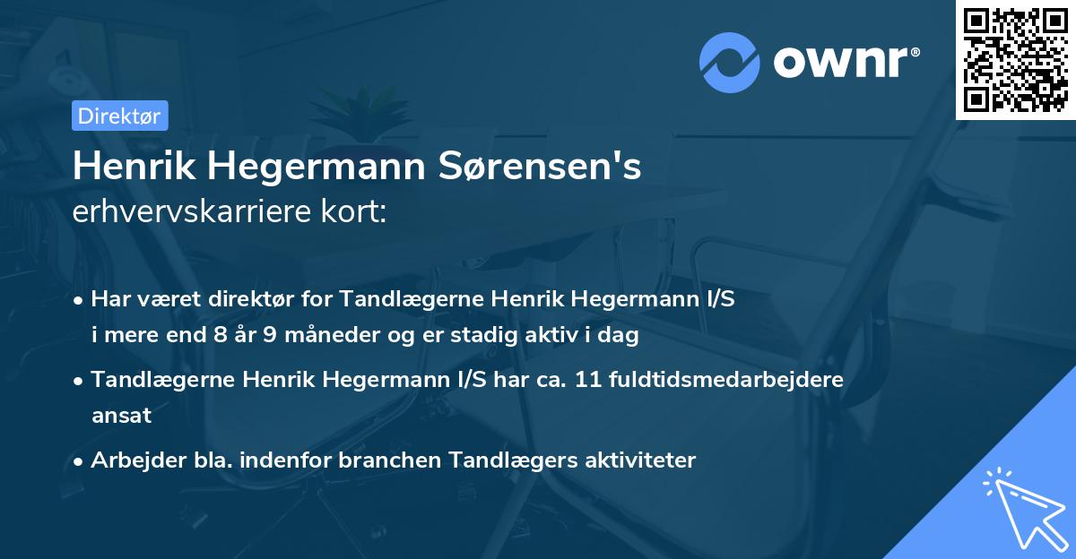 Henrik Hegermann Sørensen's erhvervskarriere kort