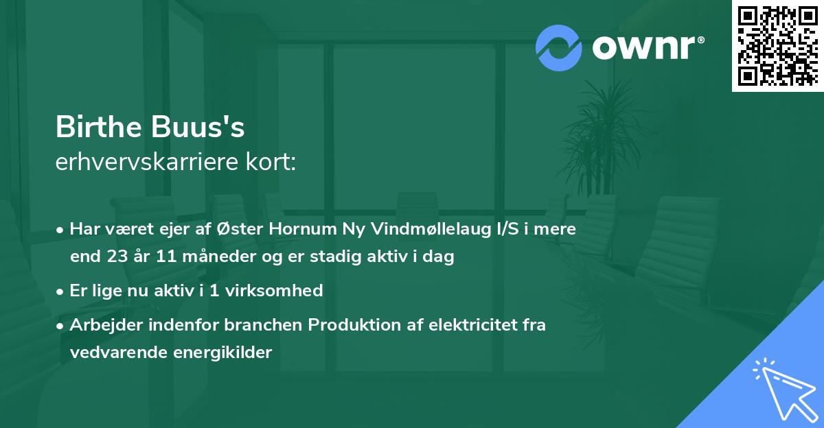 Birthe Buus's erhvervskarriere kort