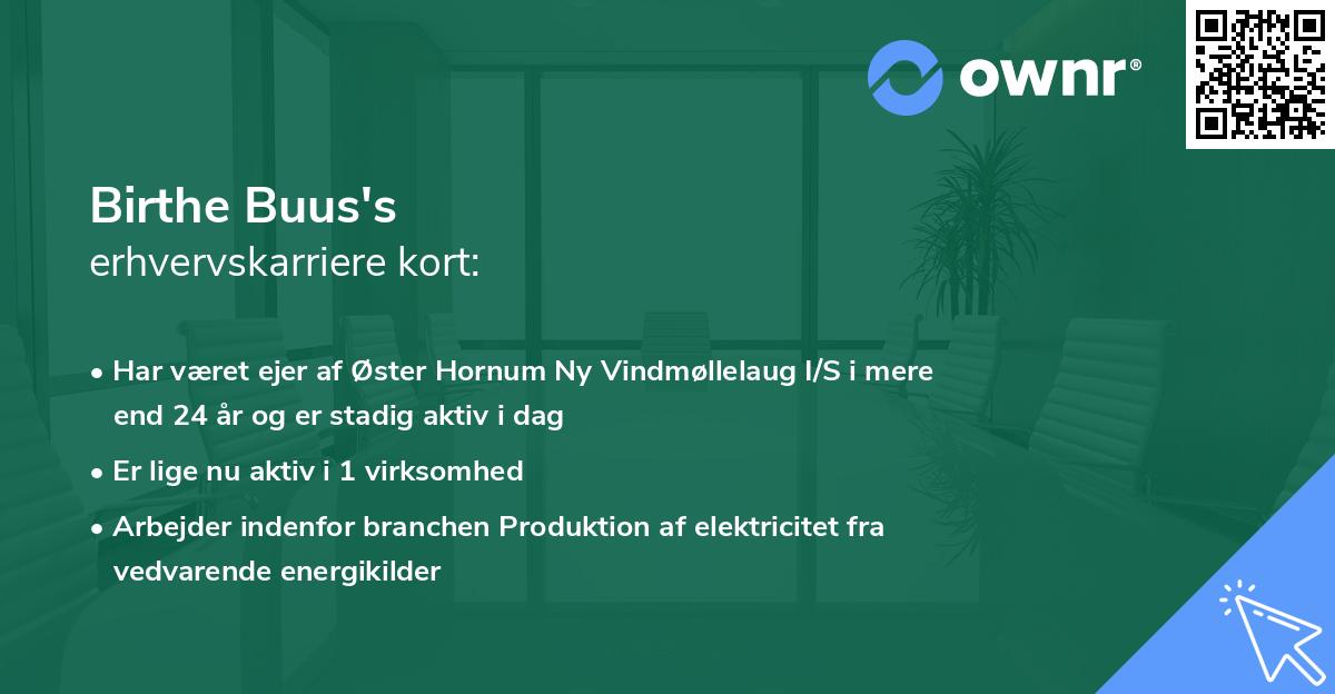 Birthe Buus's erhvervskarriere kort