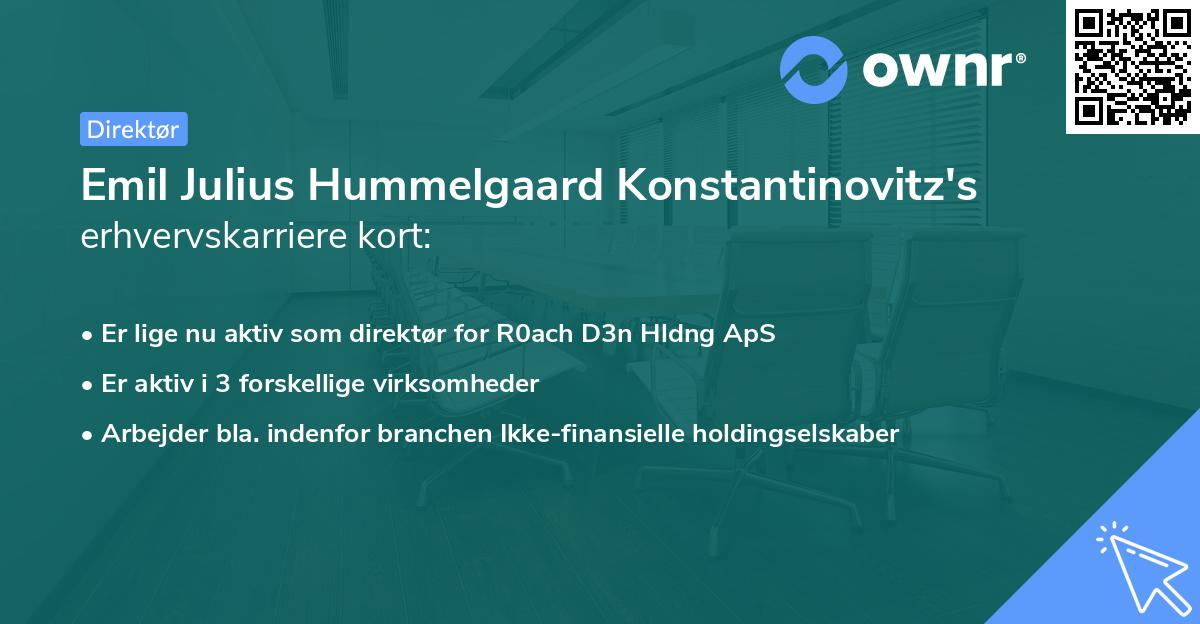 Emil Julius Hummelgaard Konstantinovitz's erhvervskarriere kort