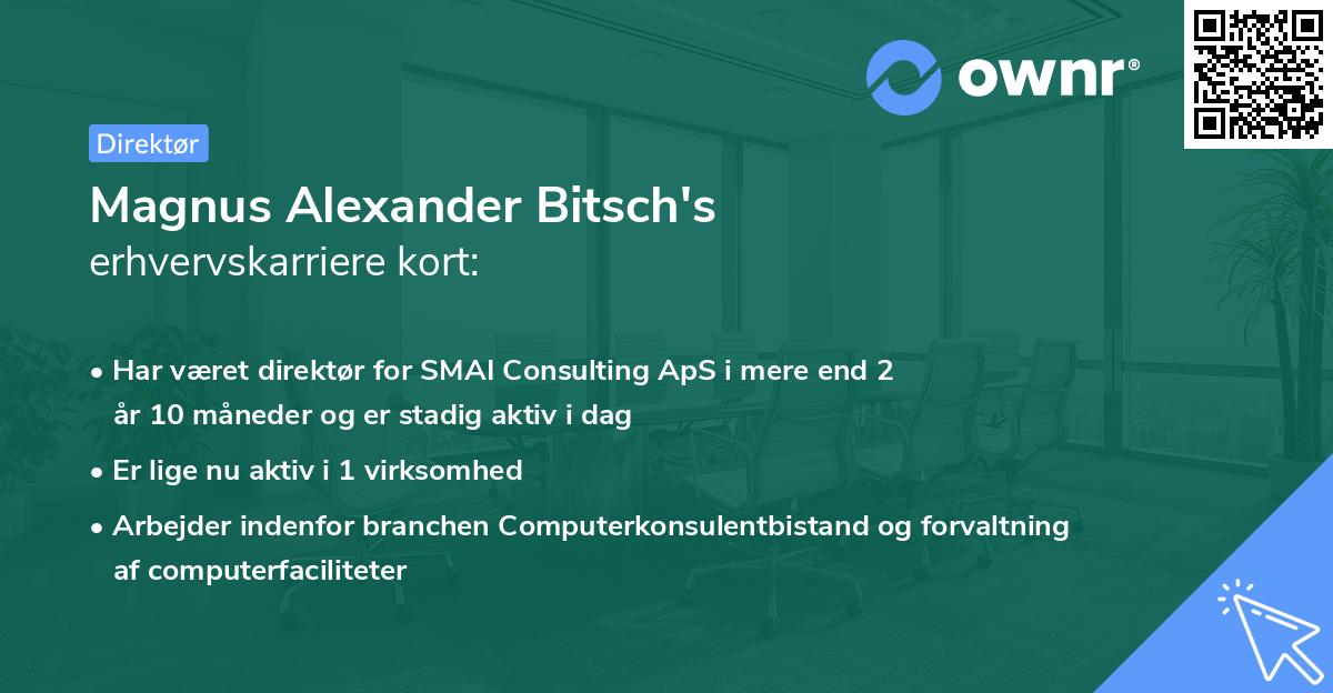 Magnus Alexander Bitsch's erhvervskarriere kort