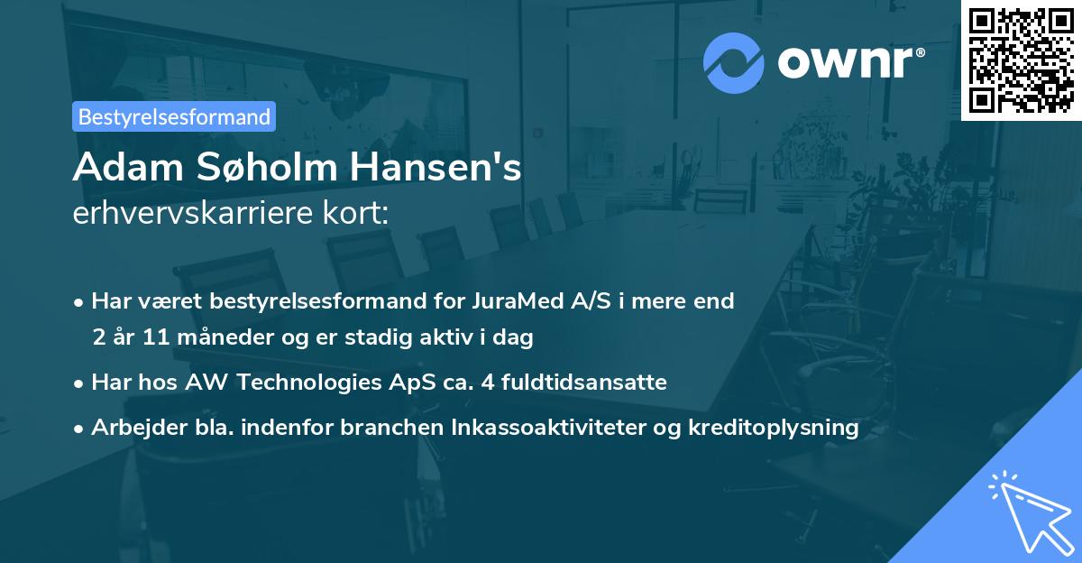 Adam Søholm Hansen's erhvervskarriere kort