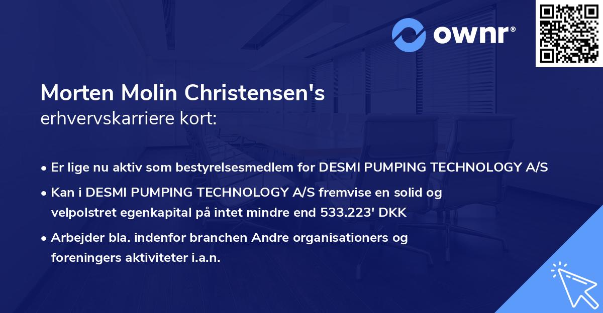 Morten Molin Christensen's erhvervskarriere kort