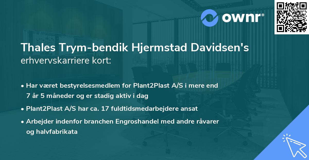 Thales Trym-bendik Hjermstad Davidsen's erhvervskarriere kort