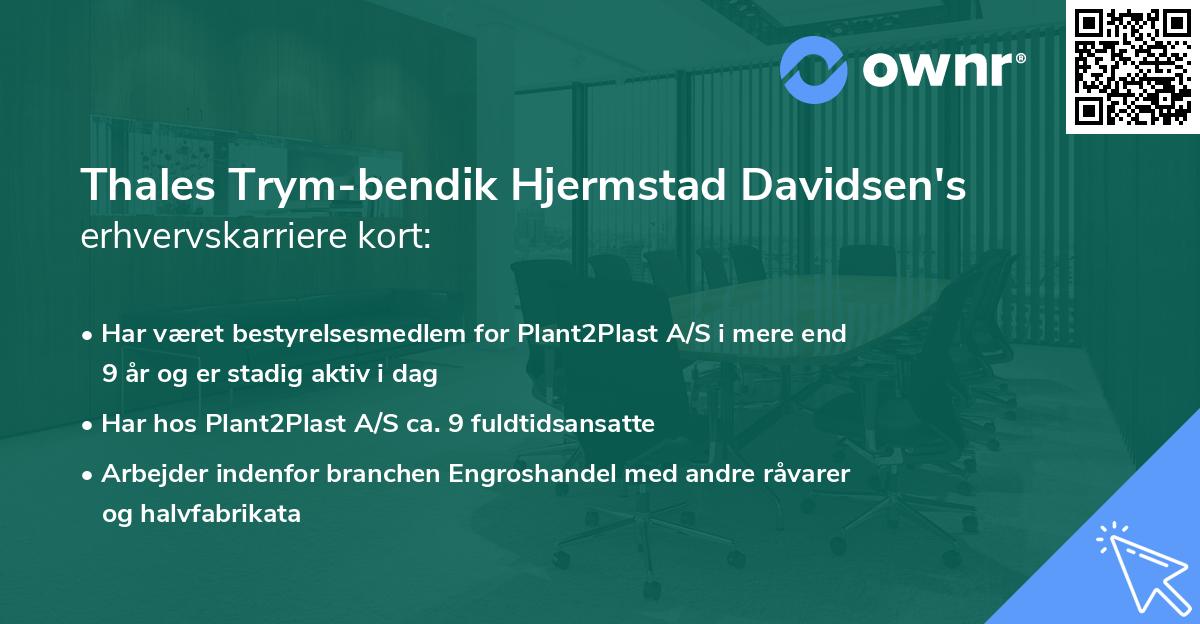 Thales Trym-bendik Hjermstad Davidsen's erhvervskarriere kort