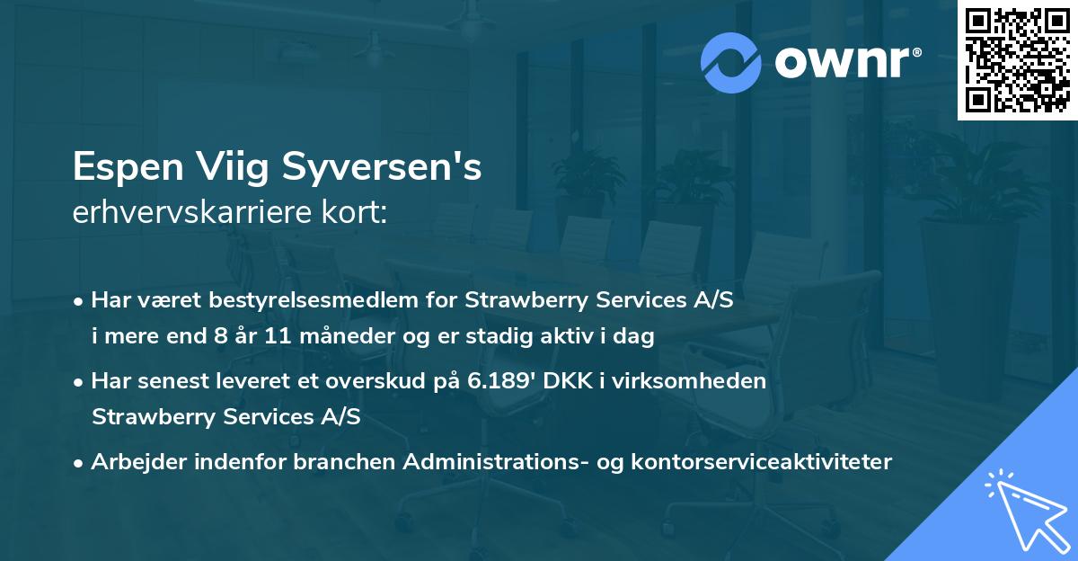 Espen Viig Syversen's erhvervskarriere kort