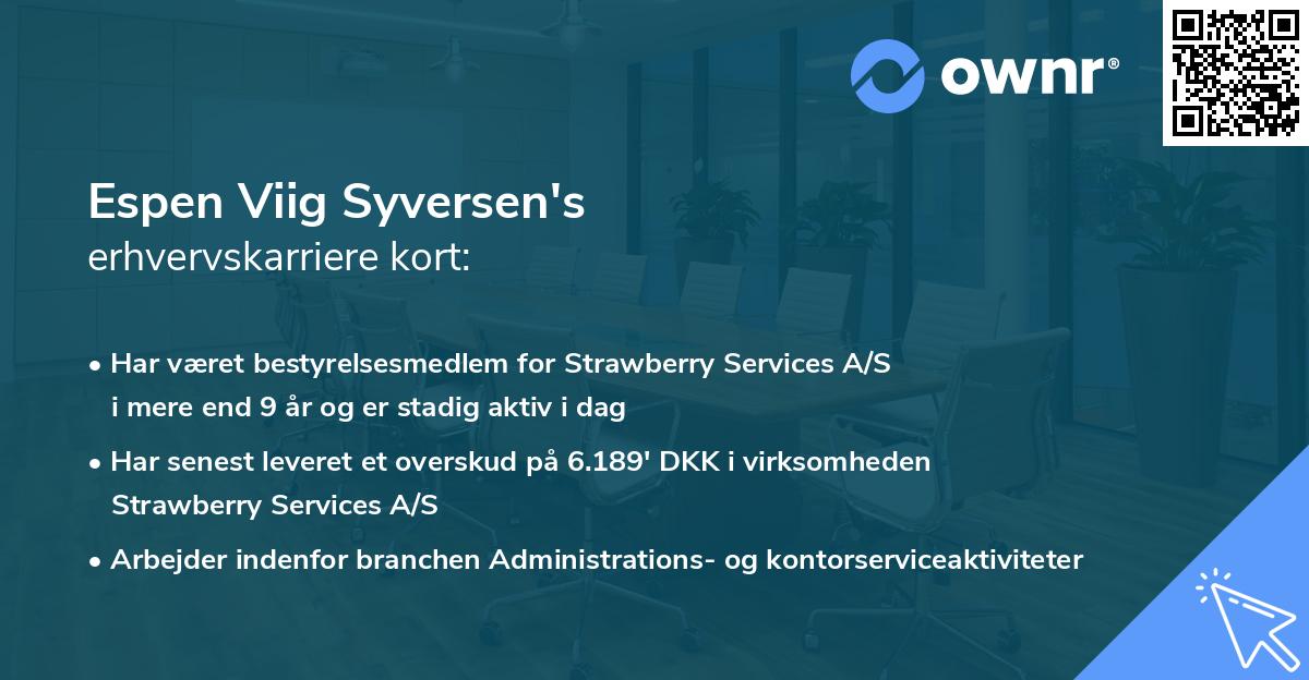 Espen Viig Syversen's erhvervskarriere kort