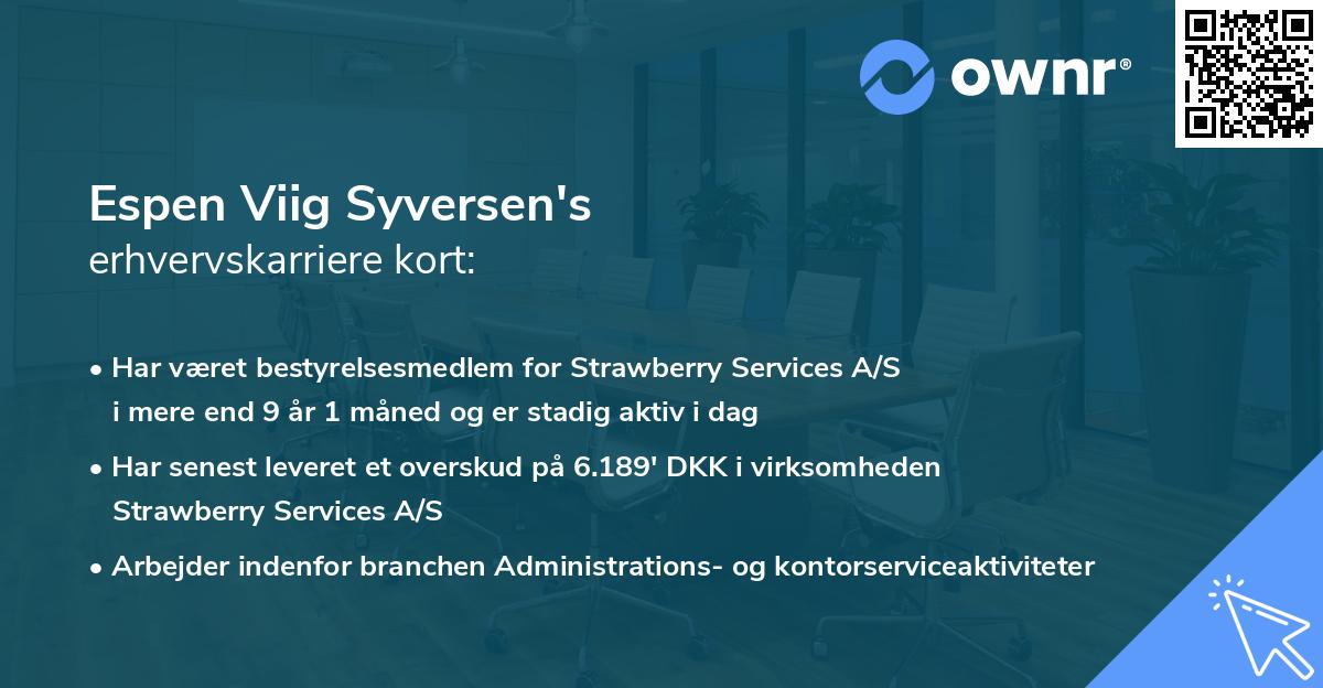 Espen Viig Syversen's erhvervskarriere kort