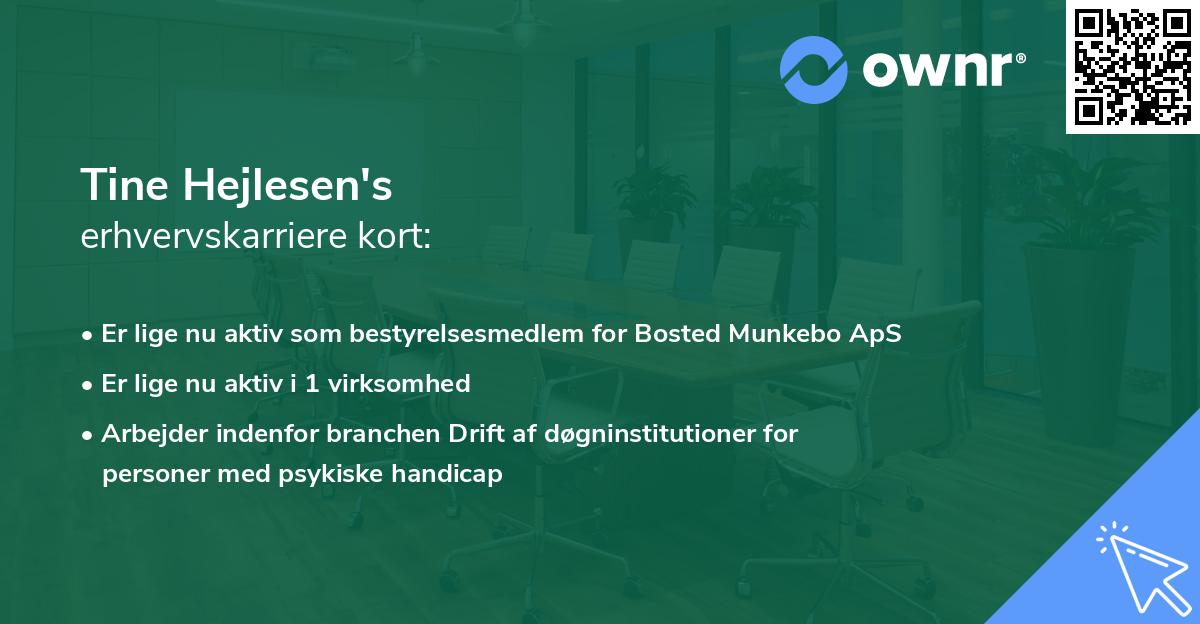 Tine Hejlesen's erhvervskarriere kort