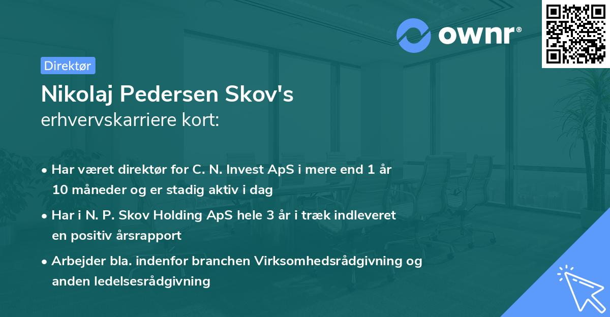 Nikolaj Pedersen Skov's erhvervskarriere kort