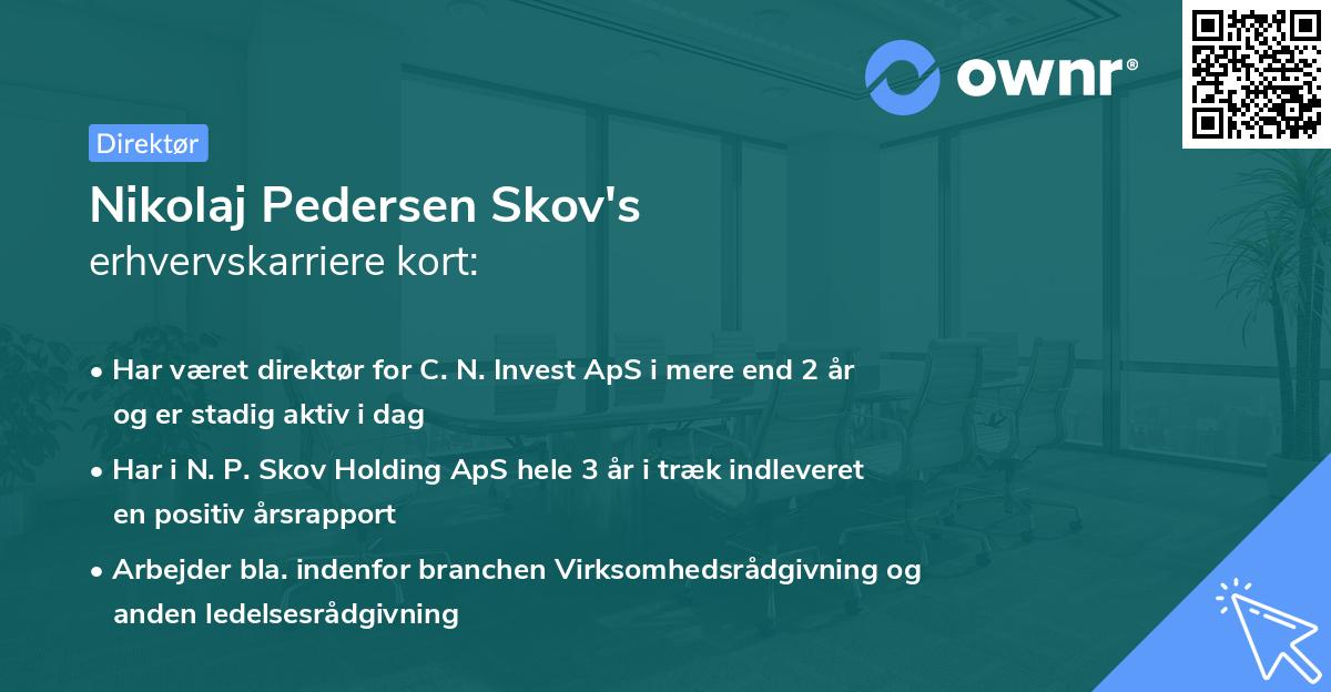 Nikolaj Pedersen Skov's erhvervskarriere kort