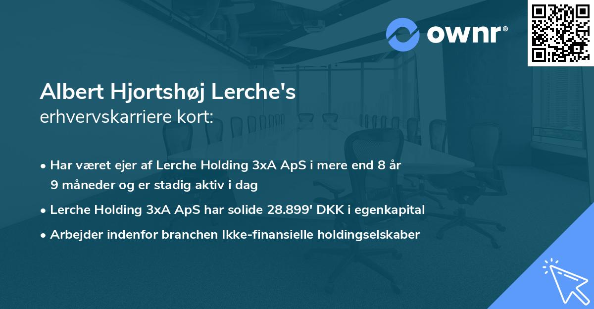 Albert Hjortshøj Lerche's erhvervskarriere kort