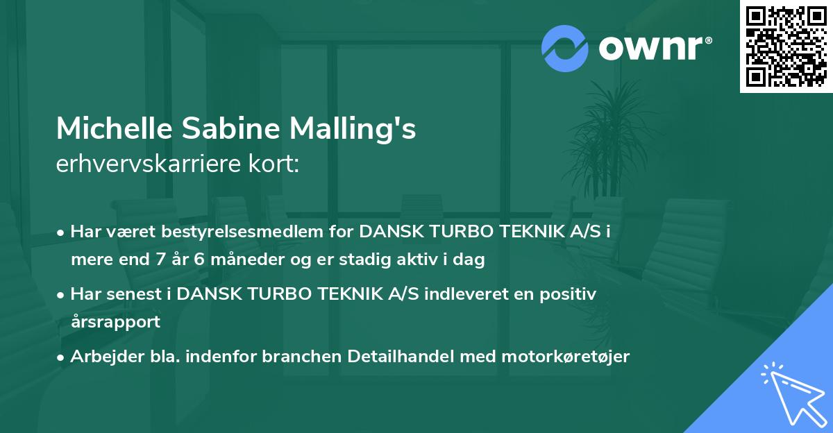Michelle Sabine Malling's erhvervskarriere kort