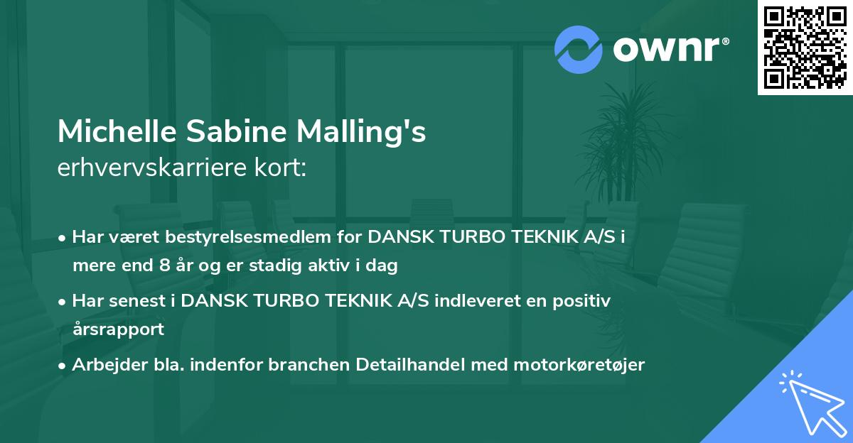 Michelle Sabine Malling's erhvervskarriere kort