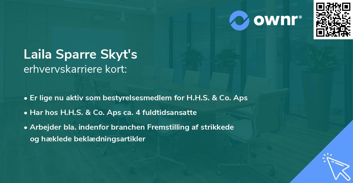 Laila Sparre Skyt's erhvervskarriere kort
