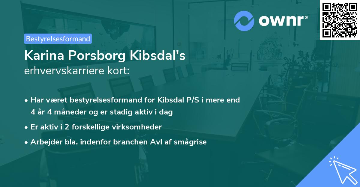 Karina Porsborg Kibsdal's erhvervskarriere kort
