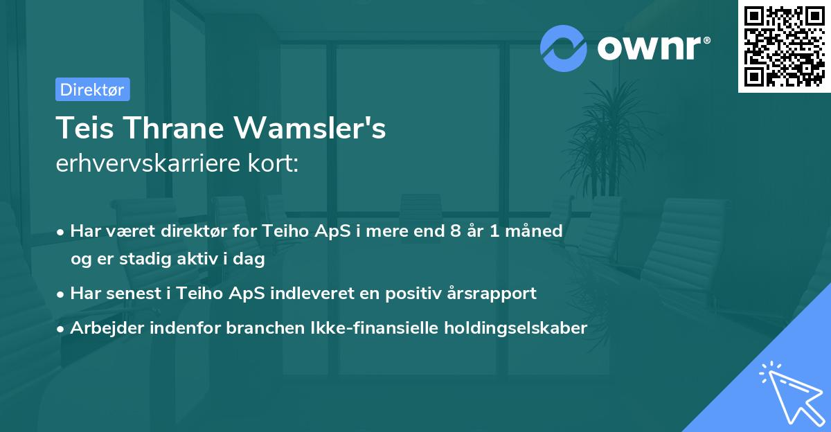 Teis Thrane Wamsler's erhvervskarriere kort
